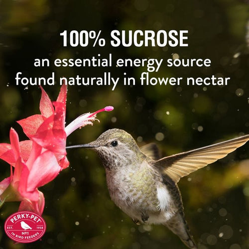 More Birds® Clear Liquid Hummingbird Nectar Concentrate (64 oz)