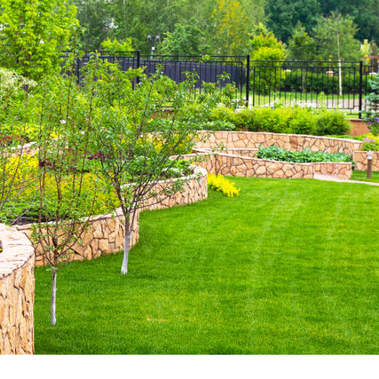 Lawn & Garden SuppliesLandscaped property