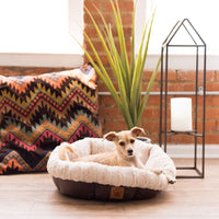 Petmate® SnooZZy Rustic Luxury Ultra Cuddler Pet Bed (20 L x 20 W x 7 H)