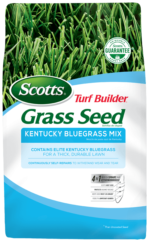 Scotts® Turf Builder® Grass Seed Kentucky Bluegrass Mix (3 lb)