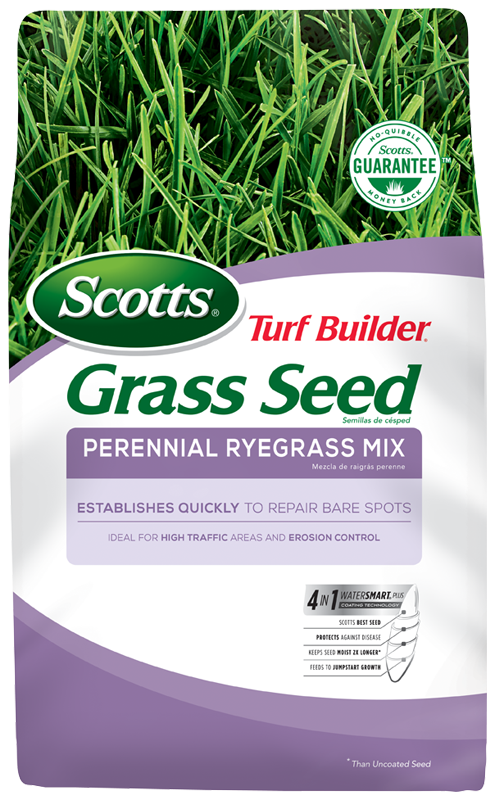 Scotts® Turf Builder® Grass Seed Perennial Ryegrass Mix (3 Lbs)