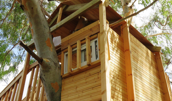 How to Build a Tree House