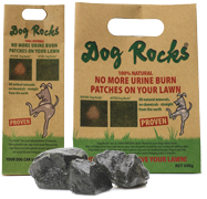 Dog Rocks (Large *SO*)