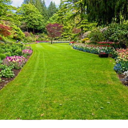Lawn and Garden