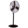 30 Pedestal Fan