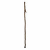 Walking Cane, Free Form Sassafras, 55-In.