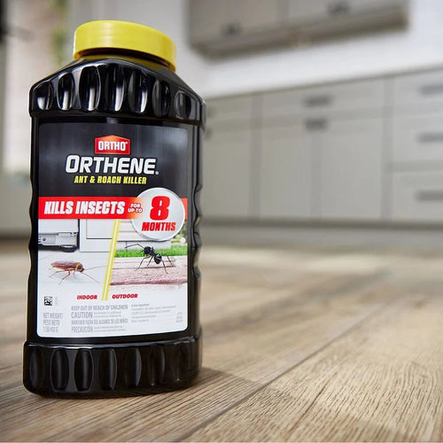 Ortho® Orthene® Ant & Roach Killer