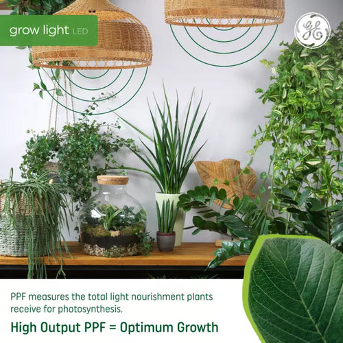 plant light bulbs for indoor plants GE Grow LED Light Bulb, A19 Indoor Plant Light for Seeds and Greens 16 PPF - Edwardsville, IL - Alton, IL - Breese, IL