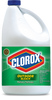 Clorox Outdoor Bleach