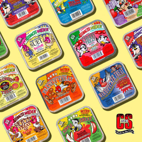 C&S Products High Energy Suet Treat