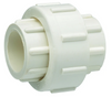 Homewerks Worldwide 1 SS SCH40 PVC Union