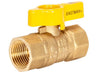 Eastman Female Straight Gas Valve