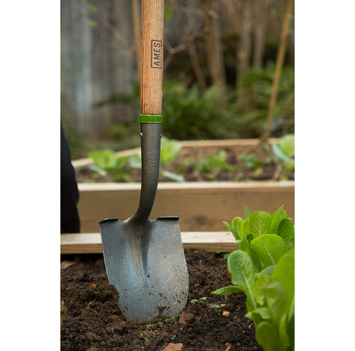 Union Tools Long Handle Digging Shovels