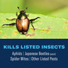 BioAdvanced 3-in-1 Insect, Disease & Plant Mite Control Ready-To-Spray II