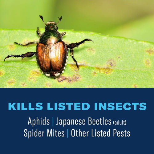 BioAdvanced 3-in-1 Insect, Disease & Plant Mite Control Ready-To-Spray II