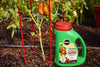 Miracle-Gro® Shake 'n Feed® Tomato, Fruit & Vegetable Plant Food (4.5 lbs)